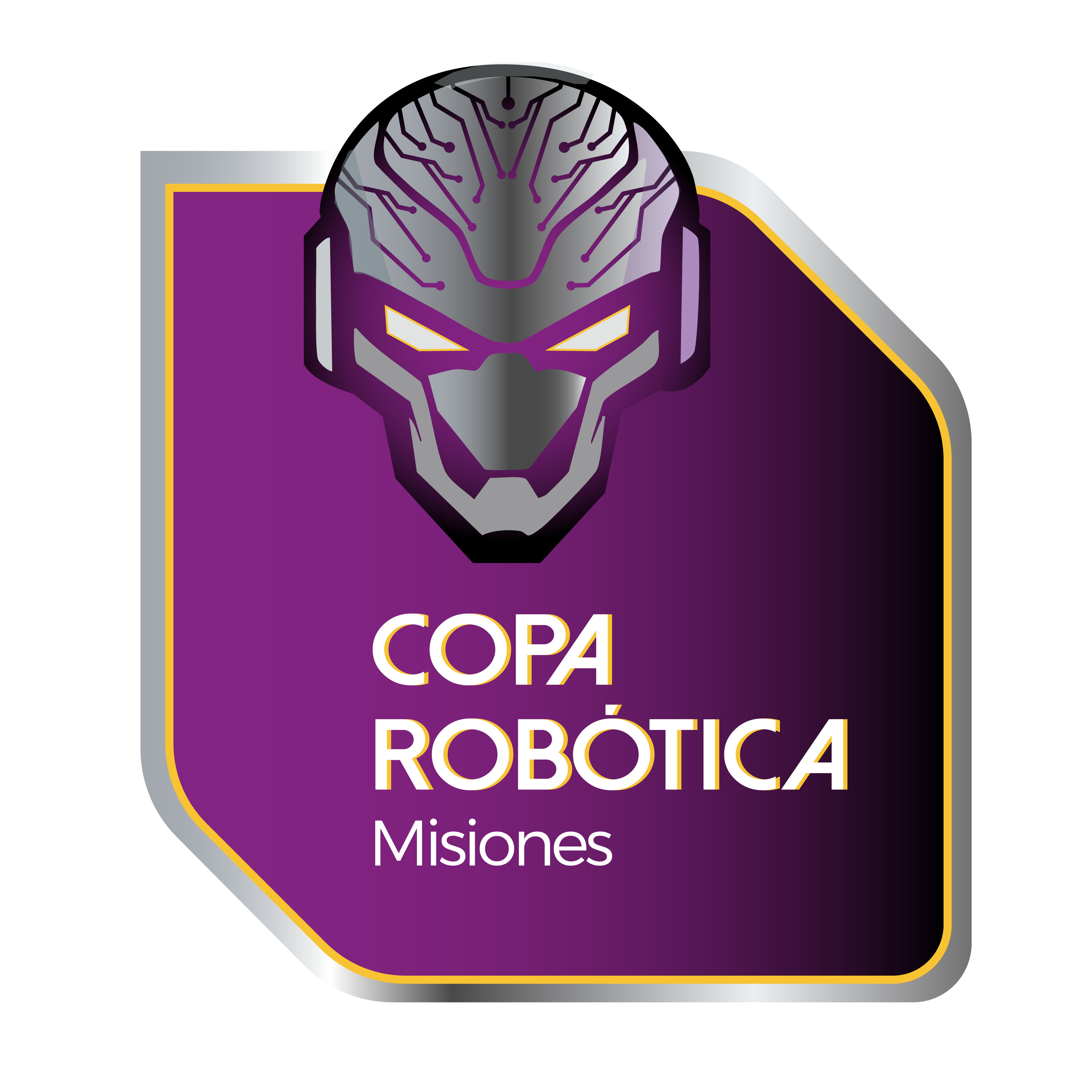 Copa de Robótica Misiones